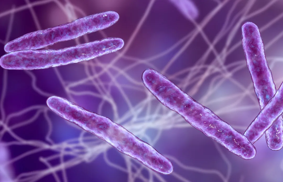 Co to jest Helicobacter pylori?
