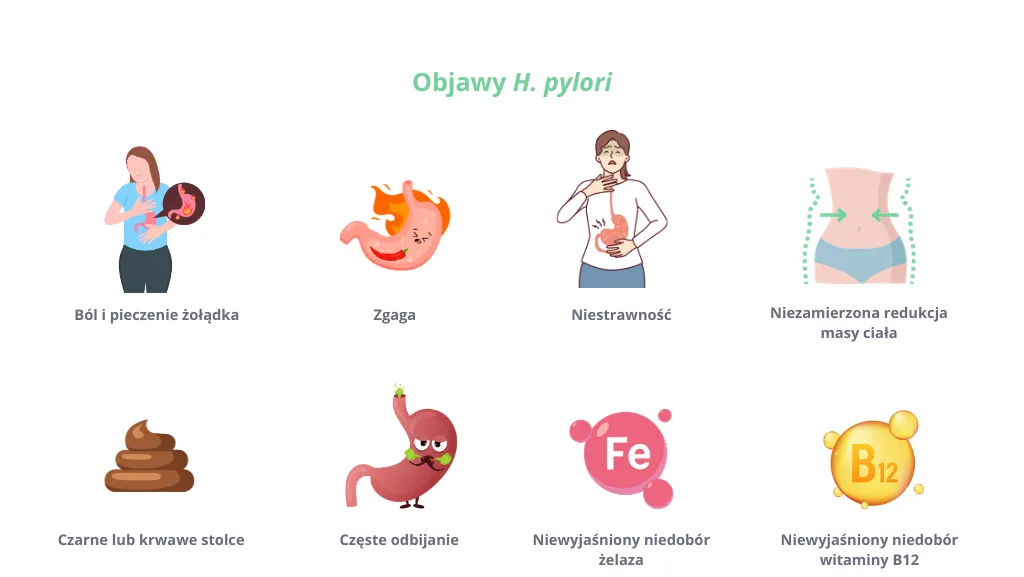Helicobacter pylori dieta