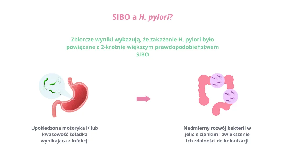 Helicobacter pylori dieta